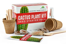Load image into Gallery viewer, CACTUS PLANT KIT
