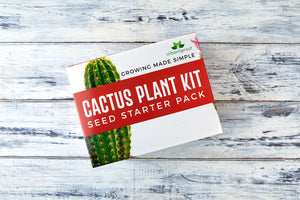 CACTUS PLANT KIT